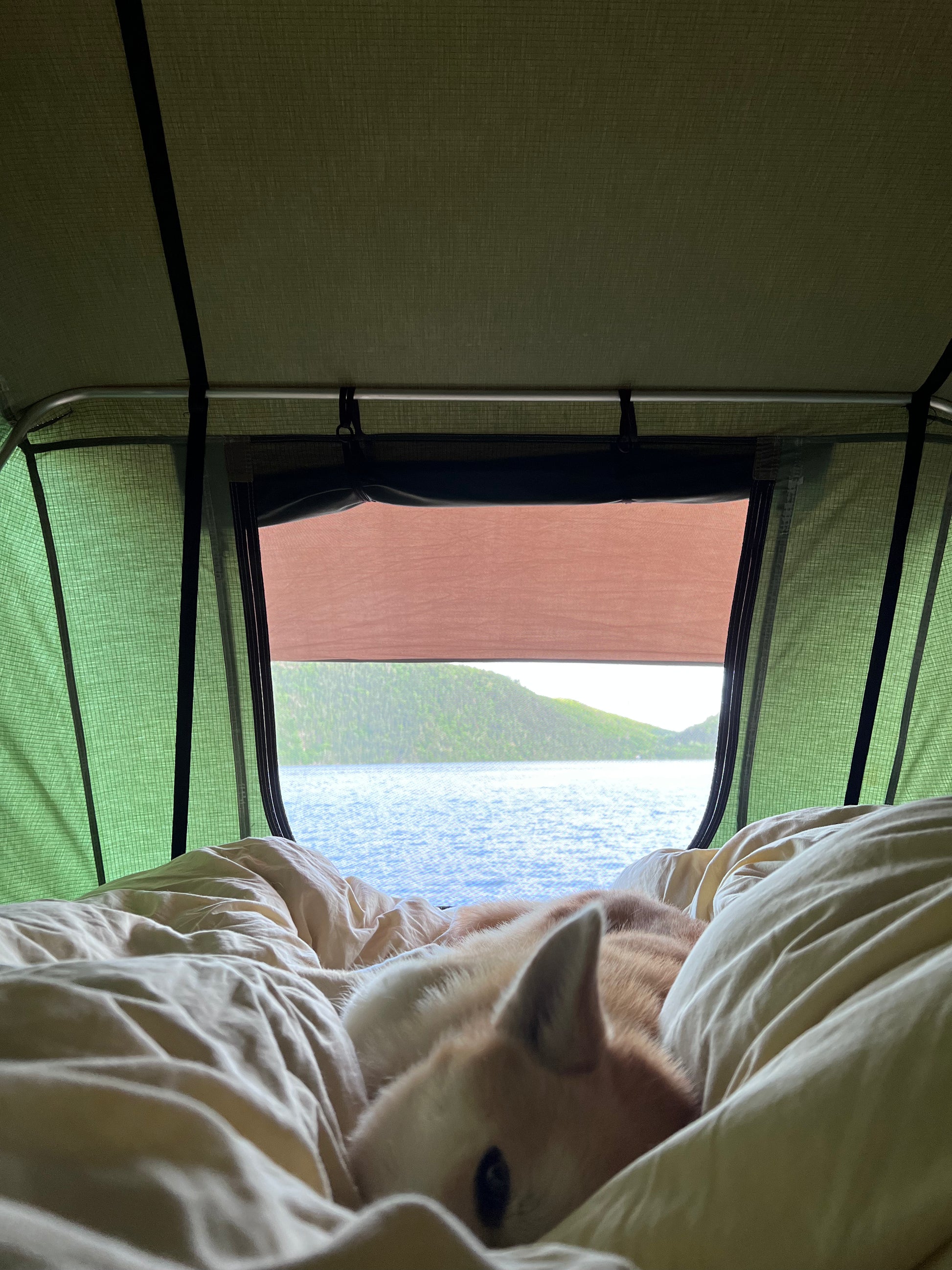 Chic choc XE 2-3 people Rooftop tent The Wild Tribe