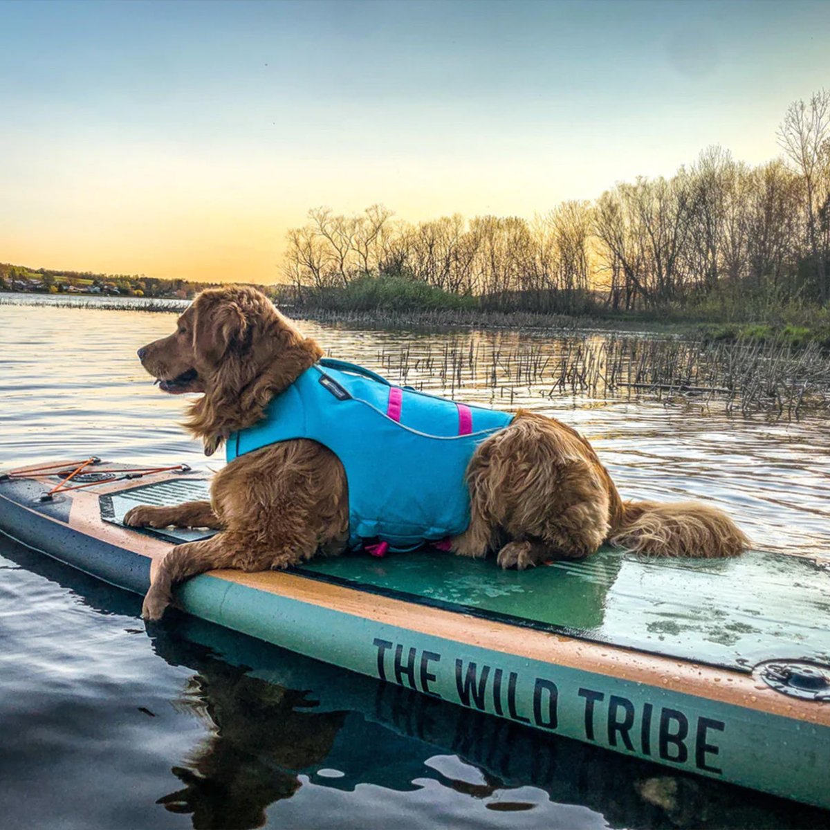 Sequoia Blue 11' (IMPERFECT) Inflatable Paddle board - The Wild Tribe