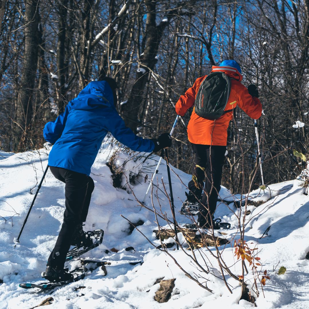 Winter Exploration Kit: Kootenay snowshoe Ascent trekking poles