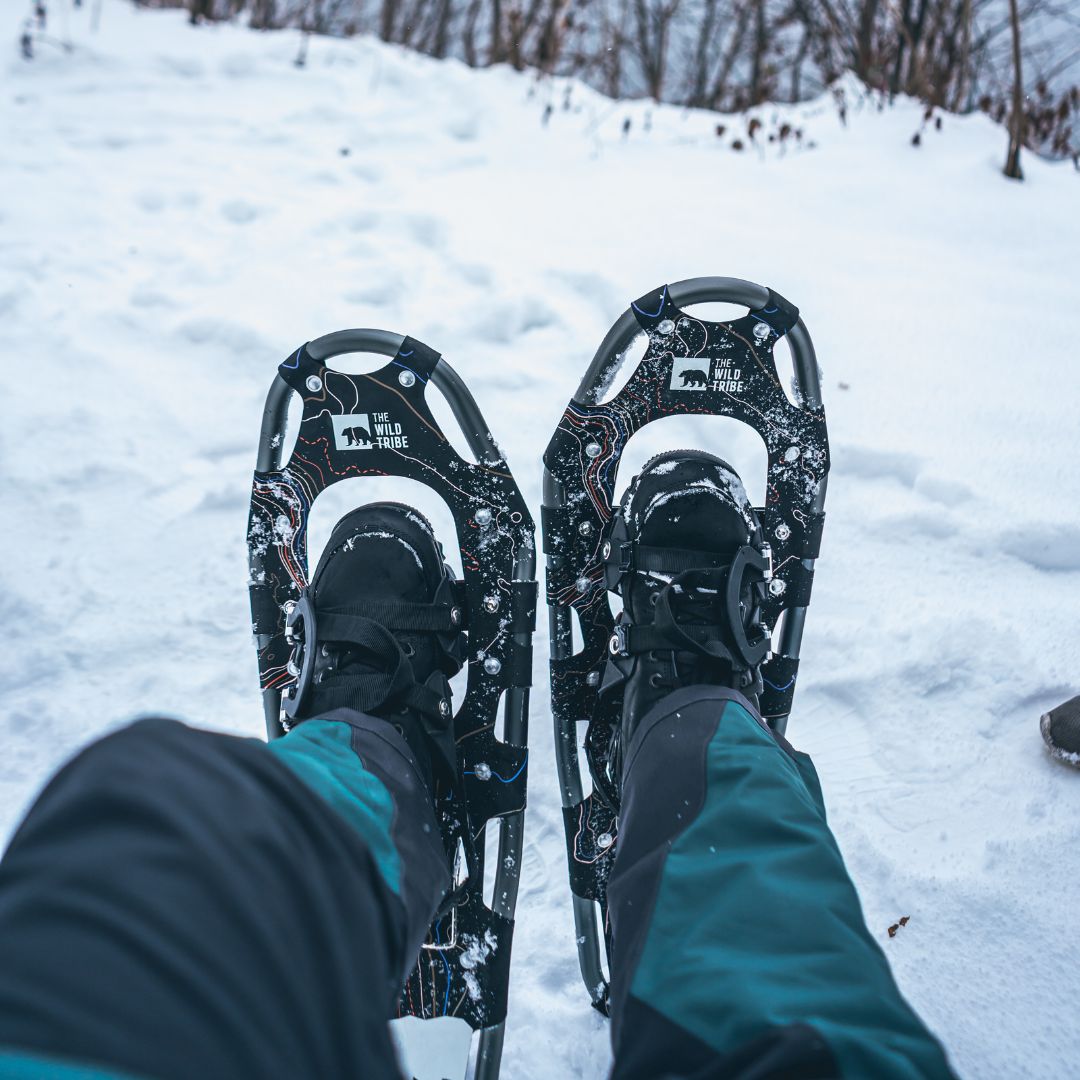 Winter Exploration Kit: Kootenay snowshoe Ascent trekking poles